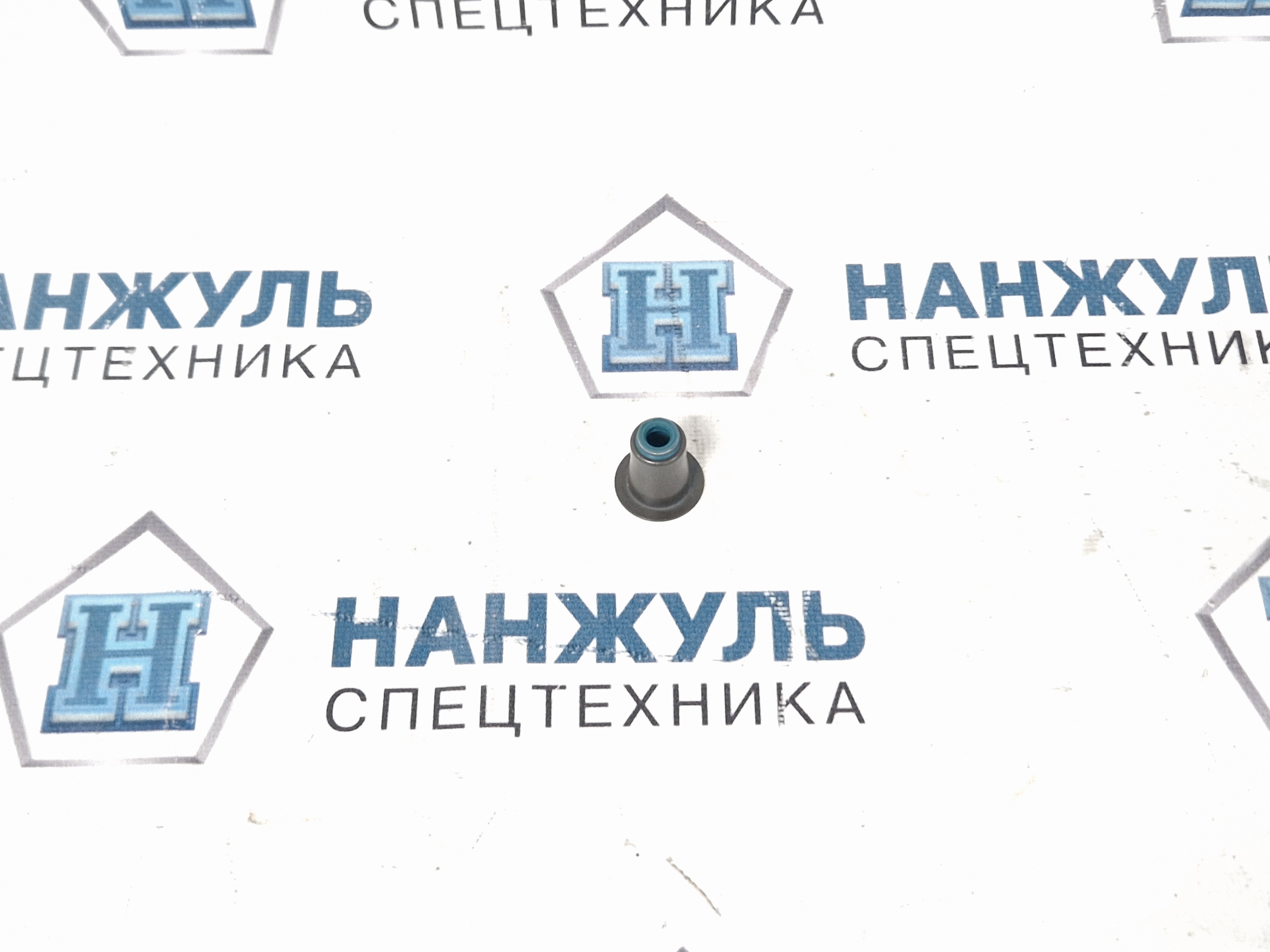 Маслосъемные колпачки впускного клапана Weichai WP7NG (WBW)