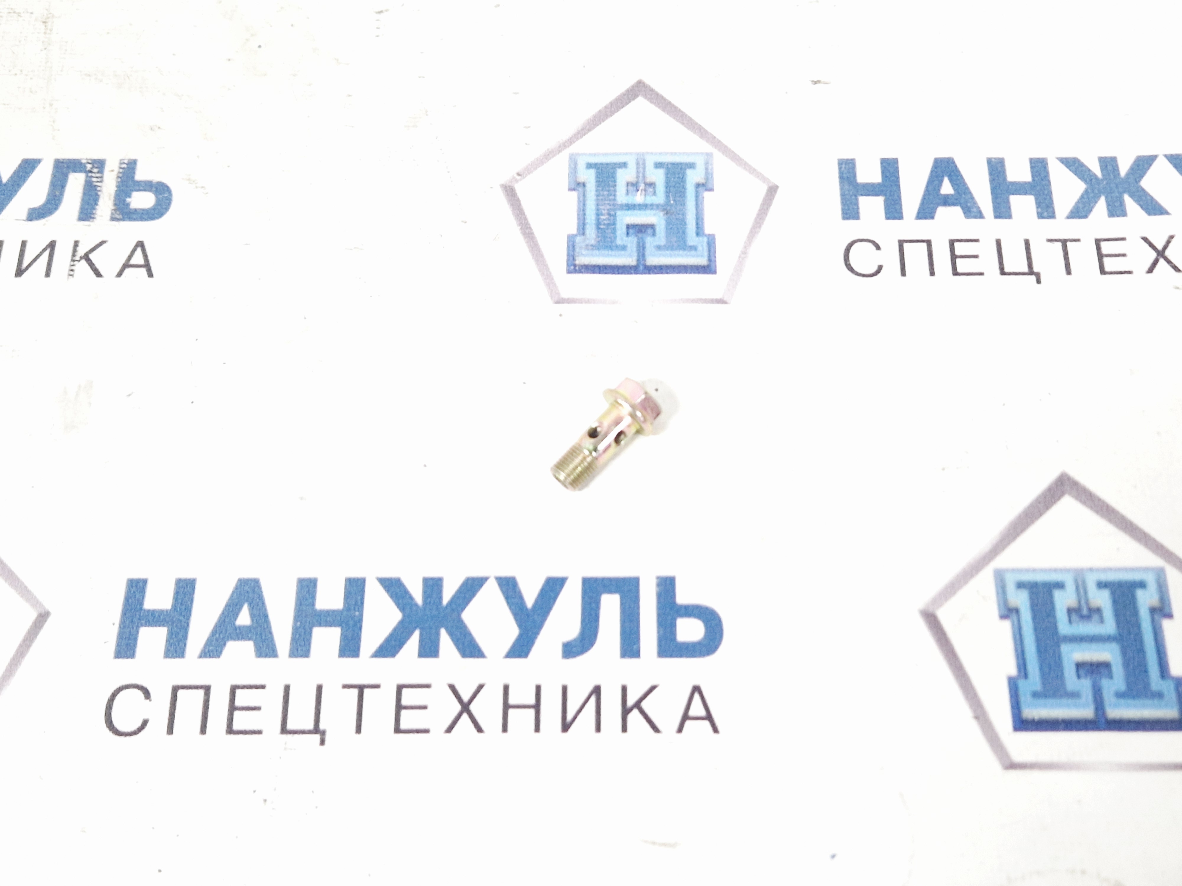Болт пустотелый (BANJO) M10*1*25 WP10 WP12 WP13 (QD)