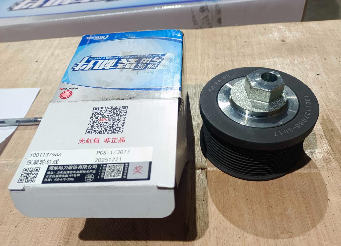 Ролик натяжной Weichai WD10 (612600061510)