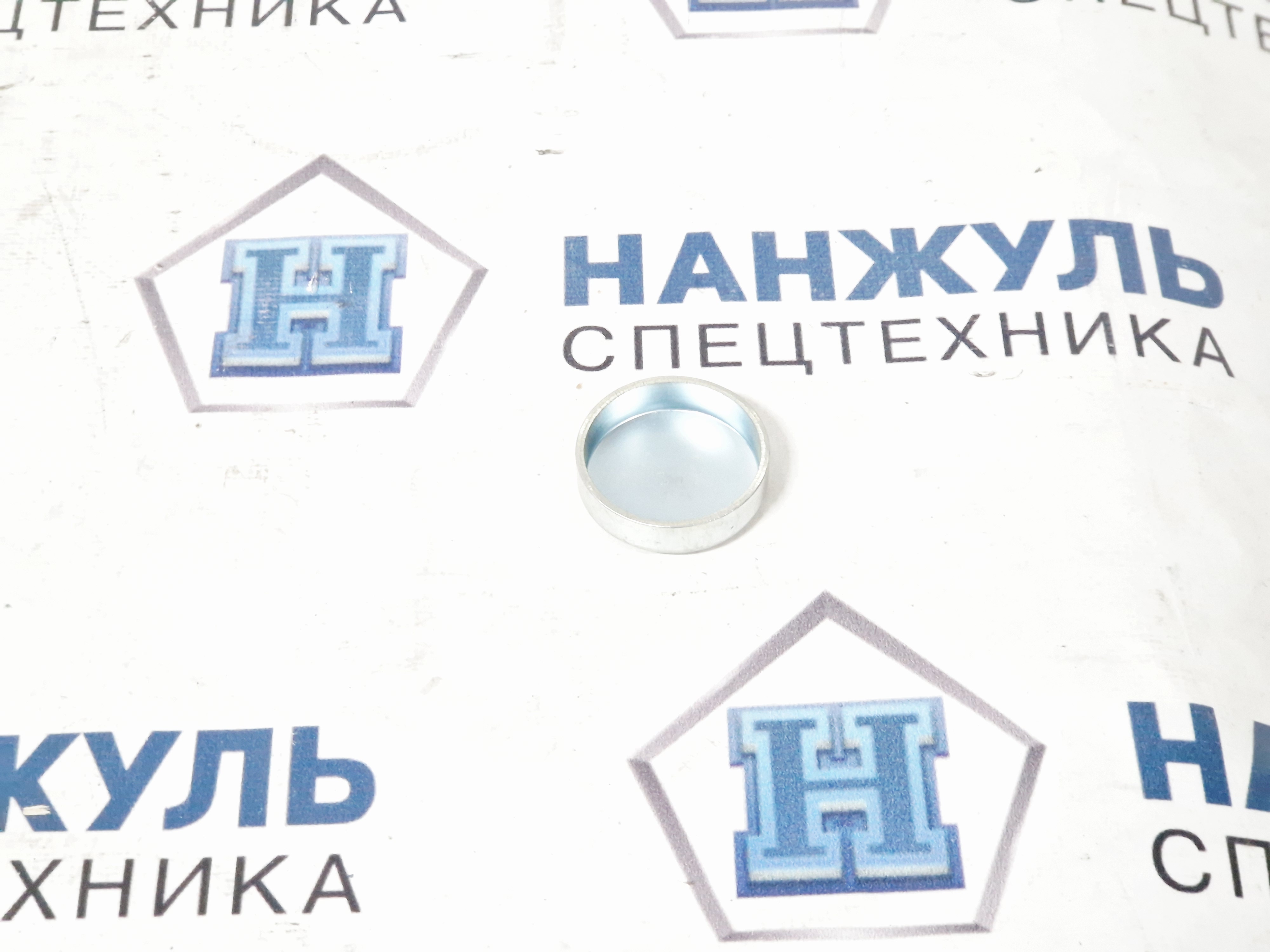 Заглушка блока цилиндров WP12 ( не оригинал) (QD)